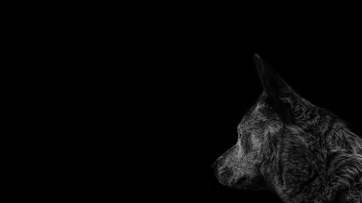 Kamp Çalışanları Için Toptan Regular Fit Tişört Seçim Kriterleri
