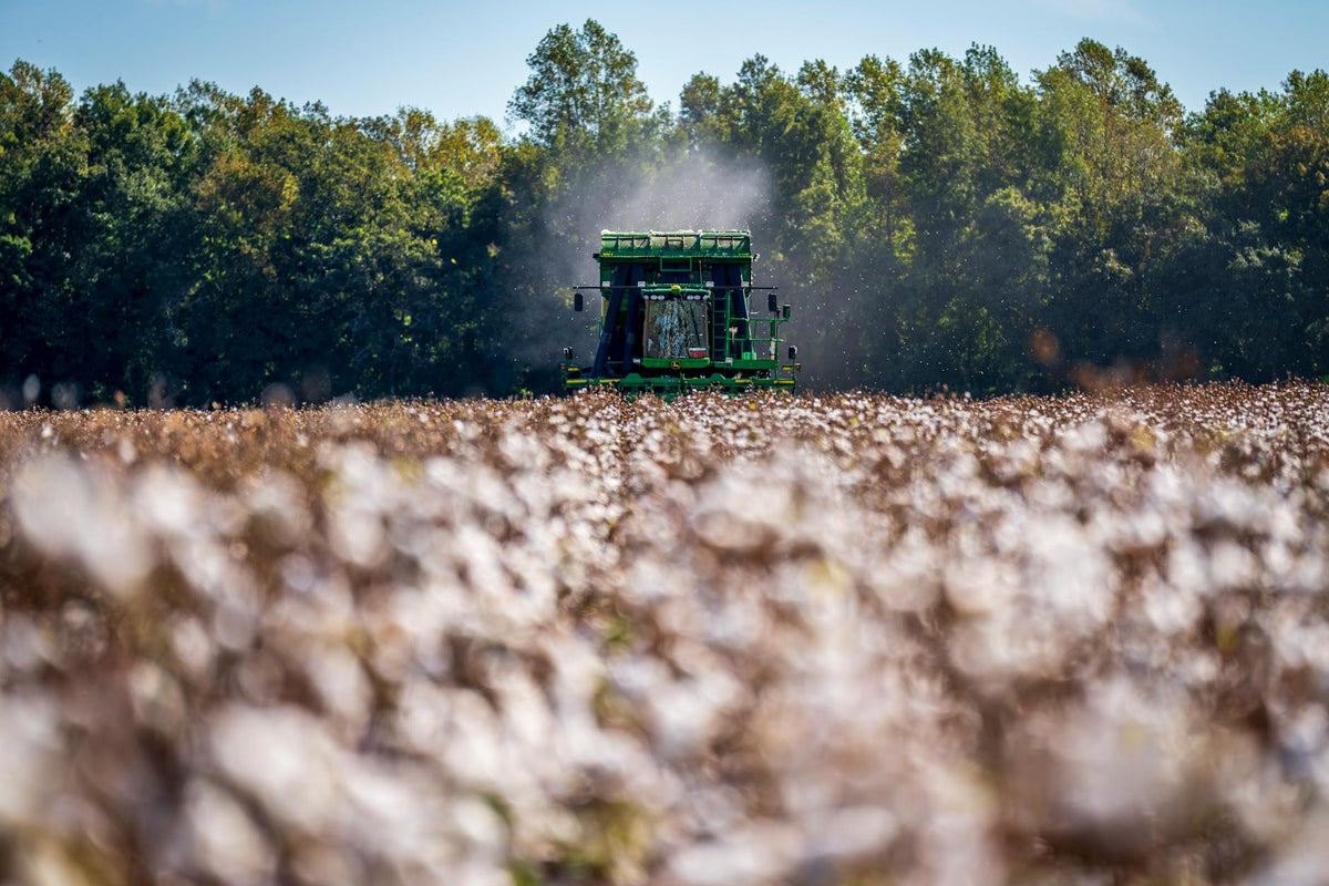 Genç Girişimci Olarak Toptan Crop Tişört Satmanın Kârlılık Analizi