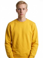 Toptan Unisex Sweatshirt 5'li Seri