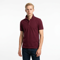 Toptan POLO YAKA TİŞÖRT 5'li Seri